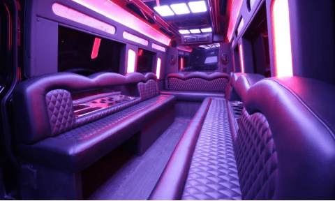 Somerville 14 Passenger Sprinter Bus Interior